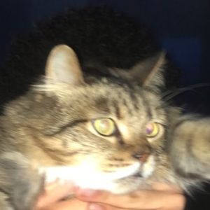 Meet your Posher, Teya